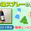 ハッカ油スプレーの作り方｜水道水だけでできる簡単レシピ&活用法