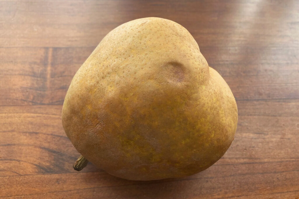 ラフランスのへこみ